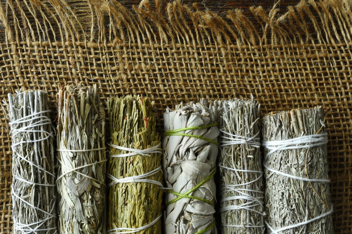 10 Fantastic Herbs For Spells You Need In Your Life Right Now