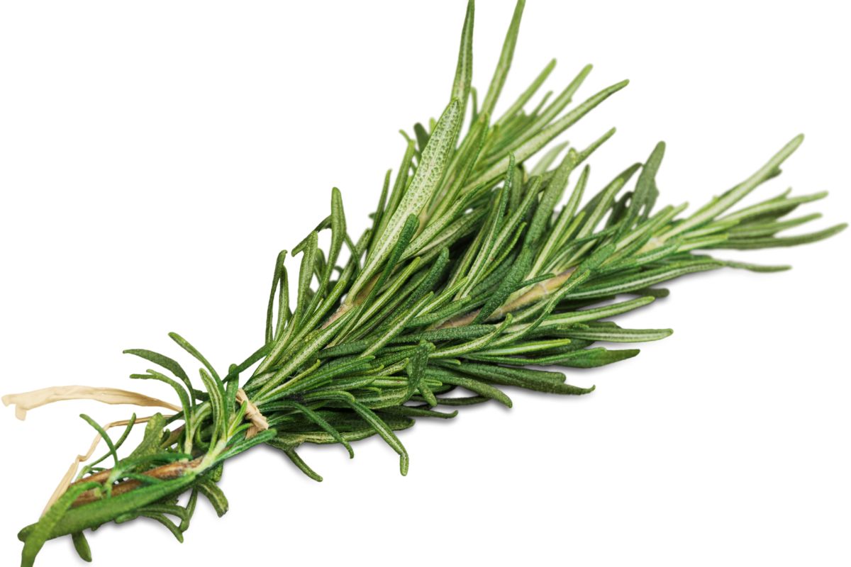 10 Fantastic Herbs For Spells You Need In Your Life Right Now