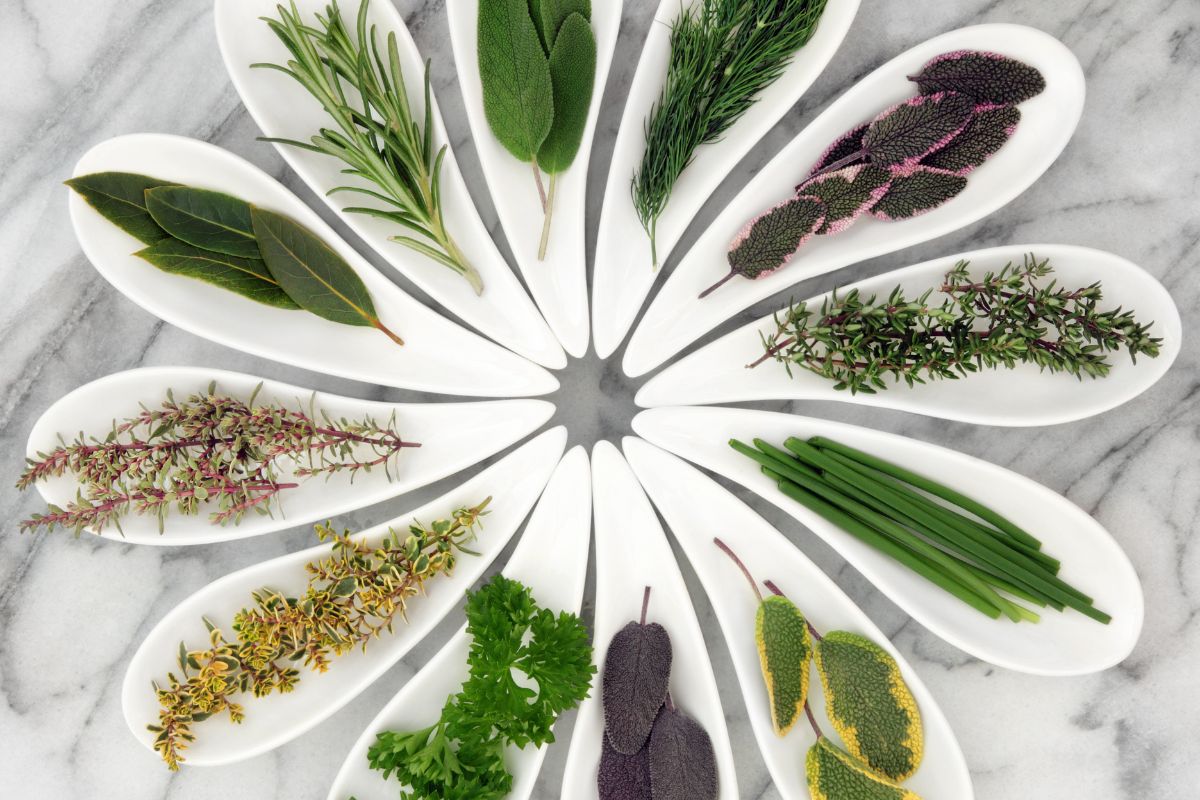 15 Best Herbs For Abundance To Add To Your Collection