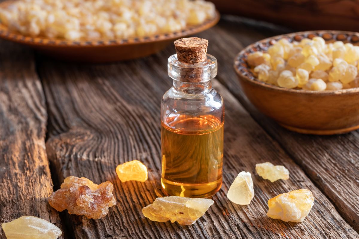 What Does Frankincense Smell Like?