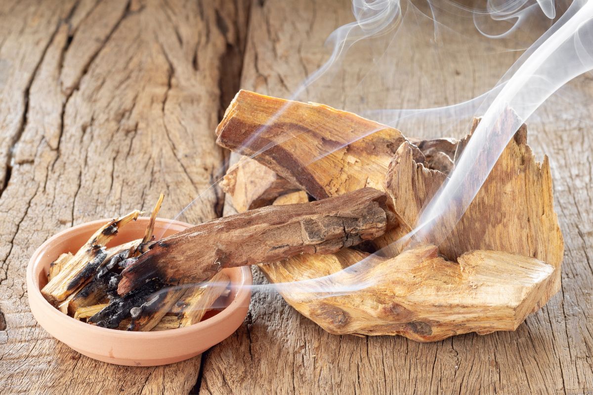 What Does Palo Santo Smell Like