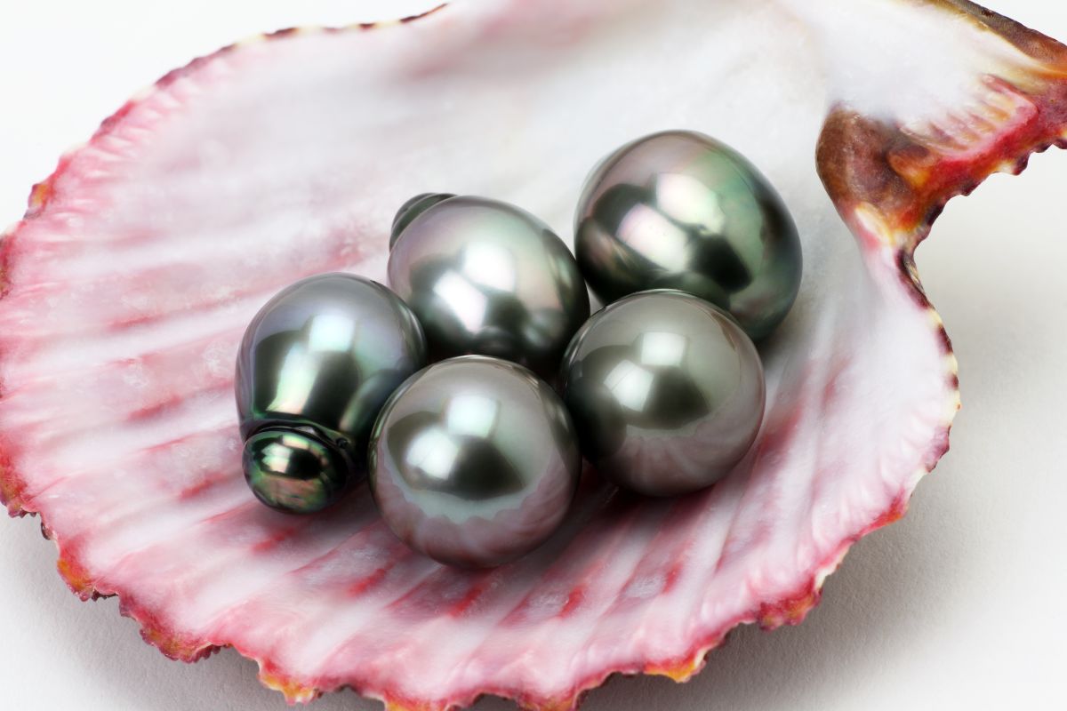 Tahitian Pearl