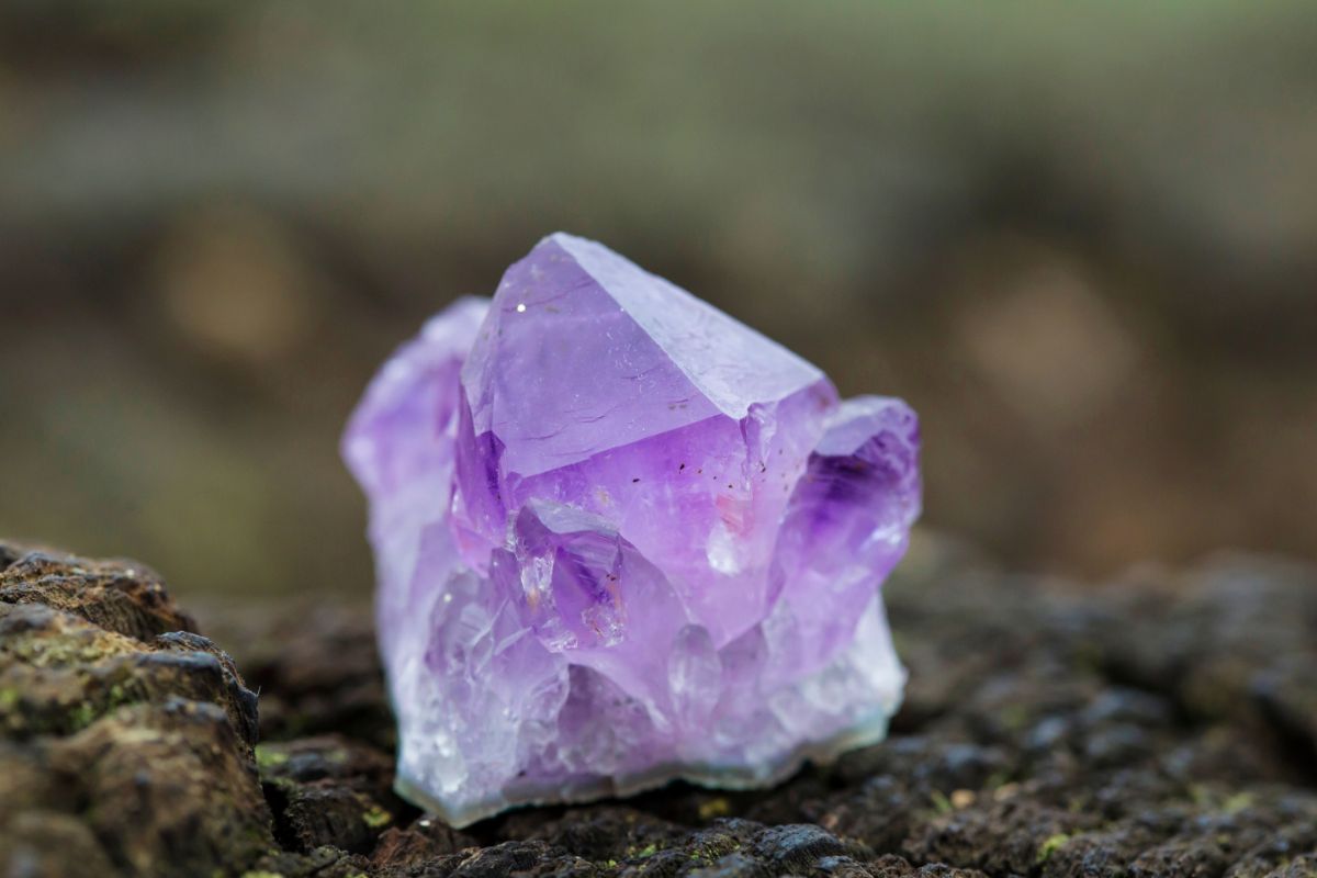 The Best Healing Crystals For Dogs