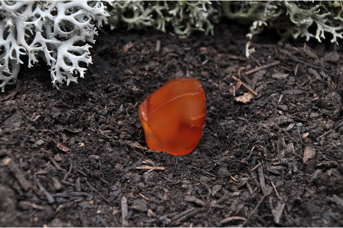 Cleansing Carnelian with the Earth