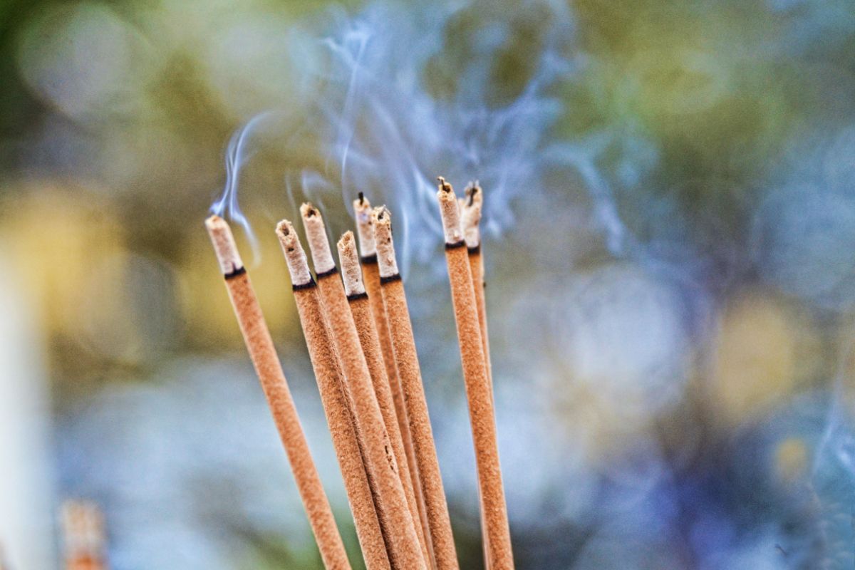 Sage Vs Incense: What Is The Difference?