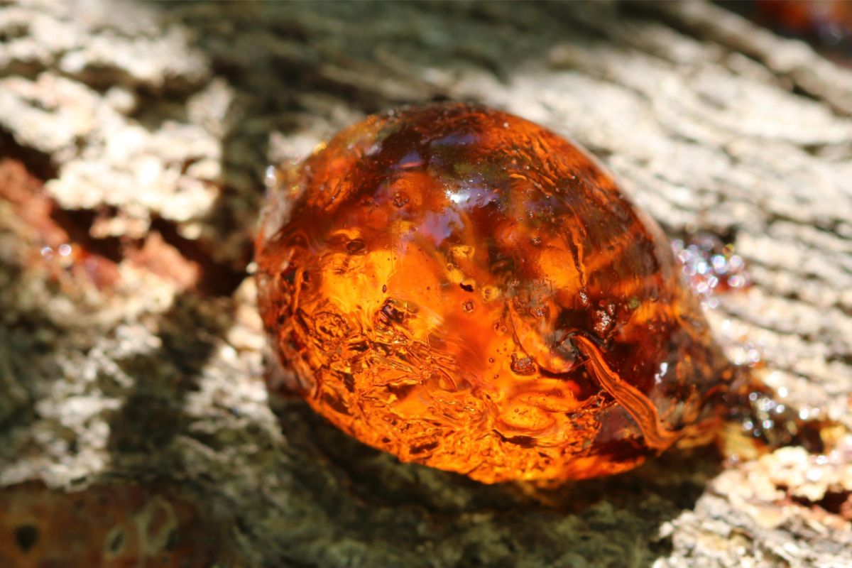 Carnelian Vs Amber - Facts, Uses & More